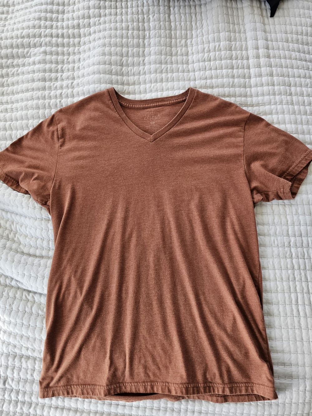 Fresh Clean Tees Men's V-Neck Tee in Burnt Orange